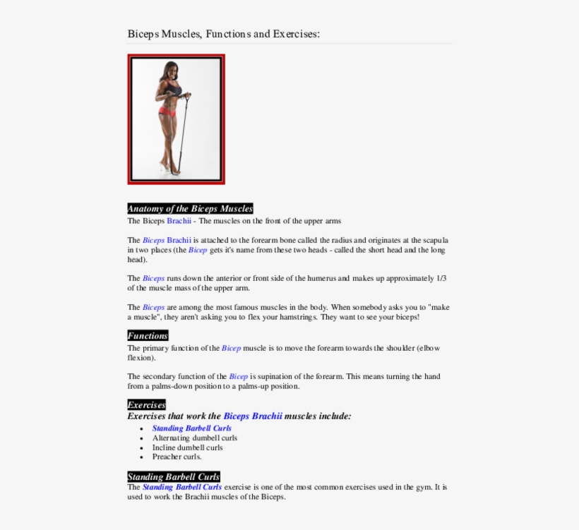 Pdf - Document, transparent png #8436958