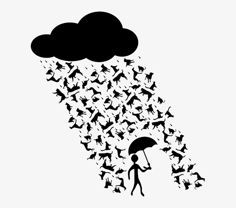 Spanish Proverb Teaching You To Grab Your Life By The - Raining Cats And Dogs Clipart, transparent png #8437186
