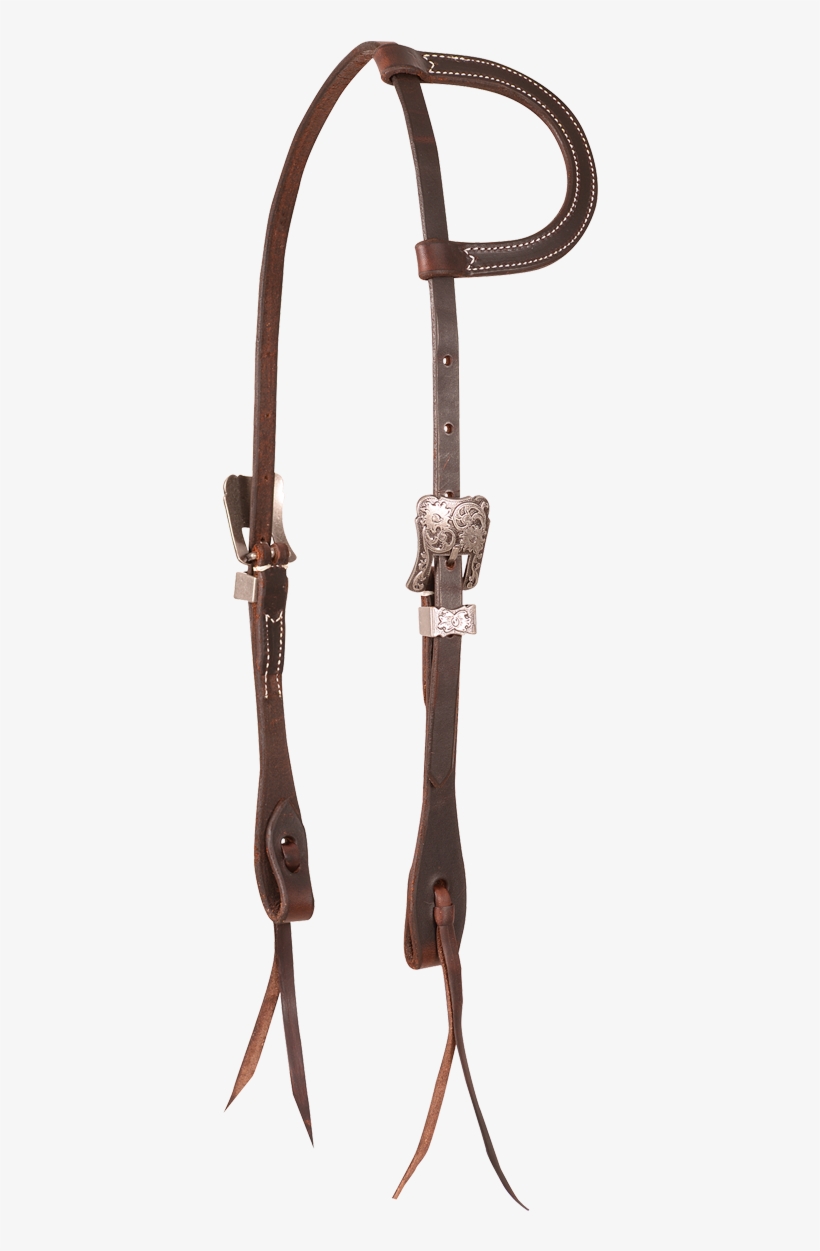 Bridle, transparent png #8437234