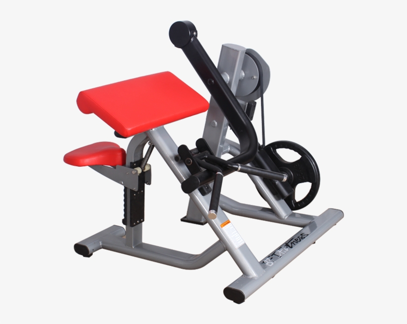 Bft5005 Biceps Curl Hammer Strength Machine - Plate Loaded Biceps Curl, transparent png #8437549