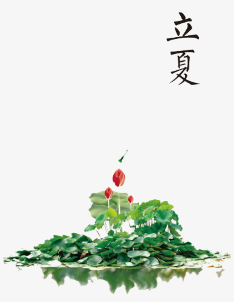 Fresh Forest Plants - Sacred Lotus, transparent png #8440008