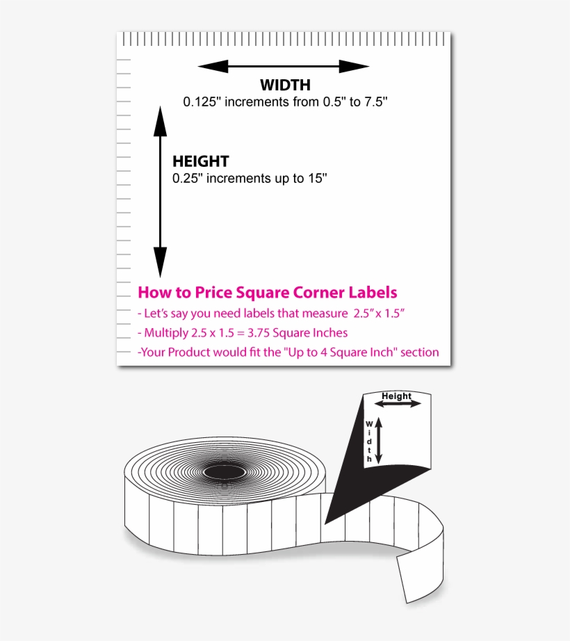 Label Width - Circle, transparent png #8440391