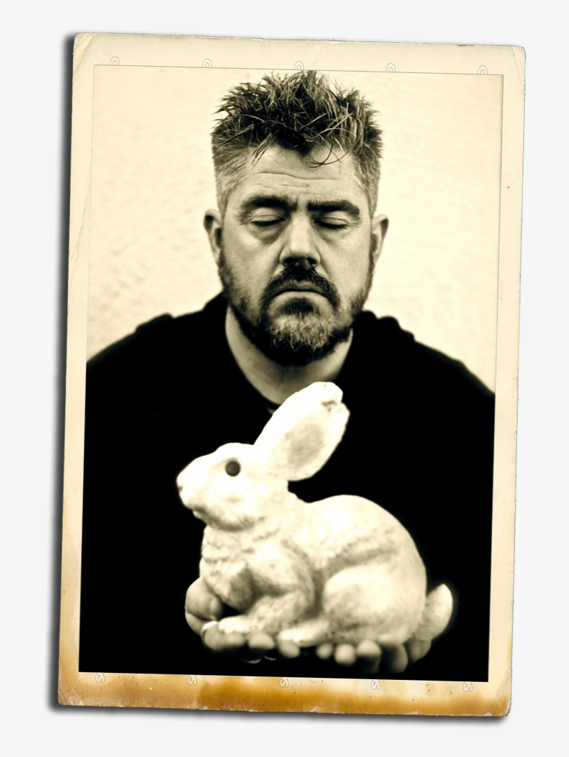 Nigel Planer - Domestic Rabbit - Free Transparent PNG Download - PNGkey