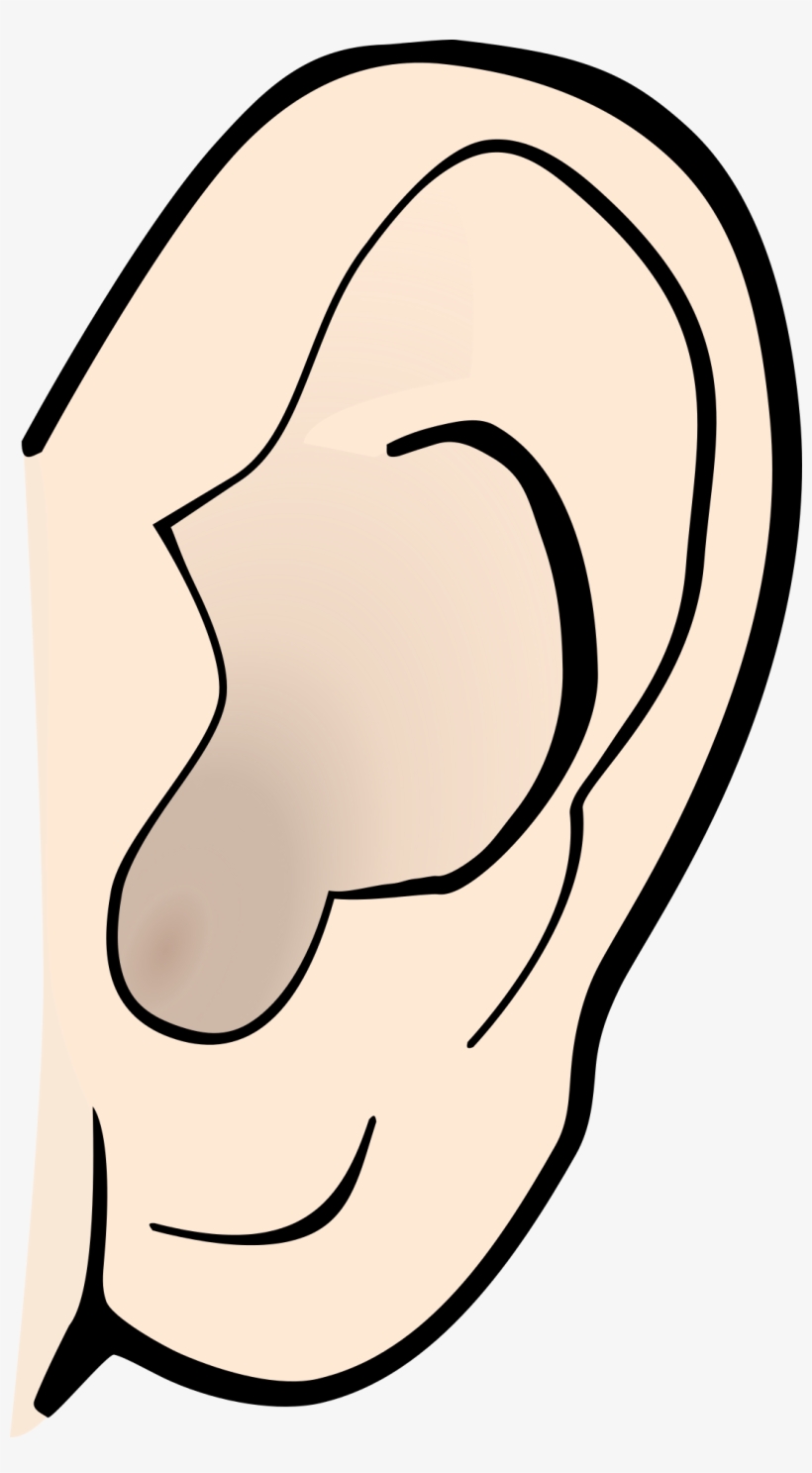 Ears Listening Png - Clip Art Ear, transparent png #8441597
