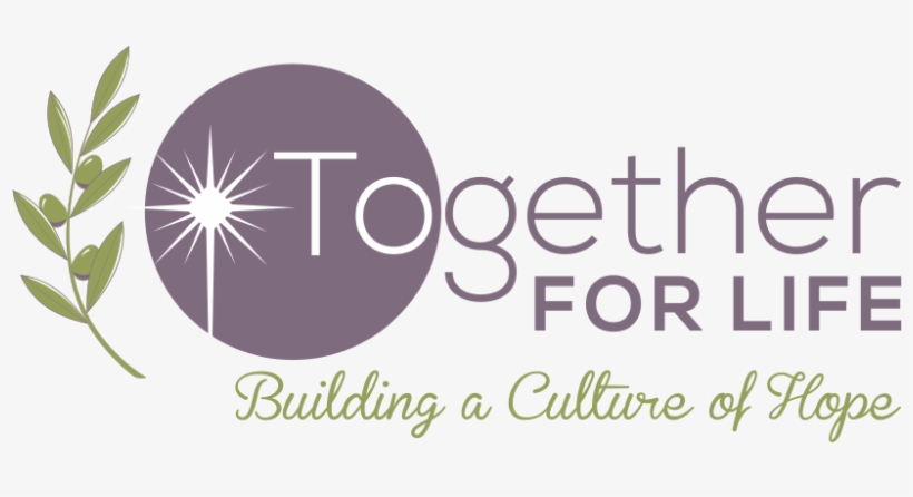 We Have Designed This New Logo To Recognize Our “guiding - Olive Branch, transparent png #8441856