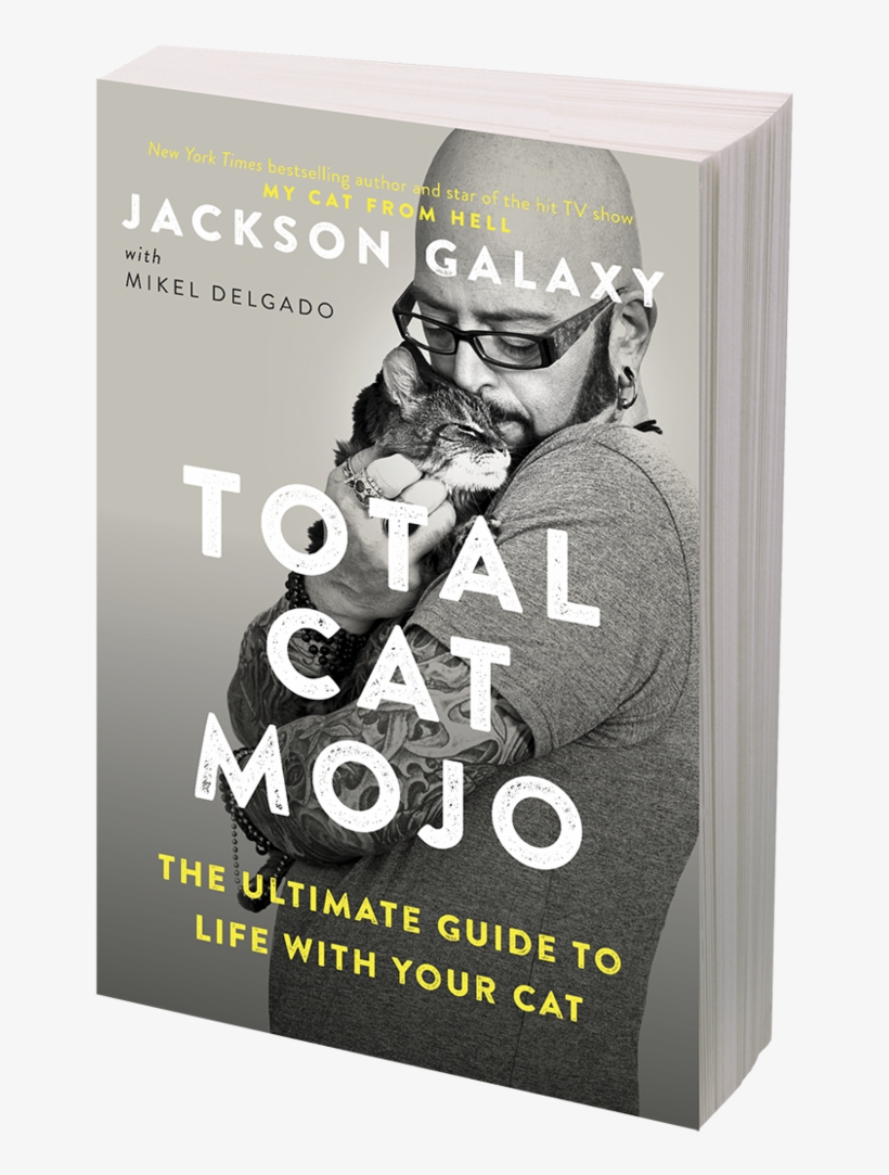 Poster, transparent png #8442143