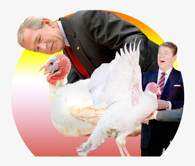 See The Latest News, Photos, And Videos About Bill - George W Bush Turkey, transparent png #8442988