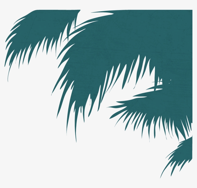 Latin Tuesdays - Attalea Speciosa, transparent png #8443020