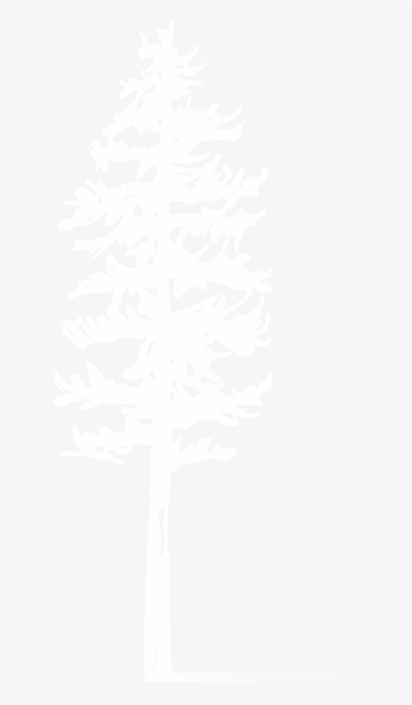 The King Pine Name - Darkness, transparent png #8443426