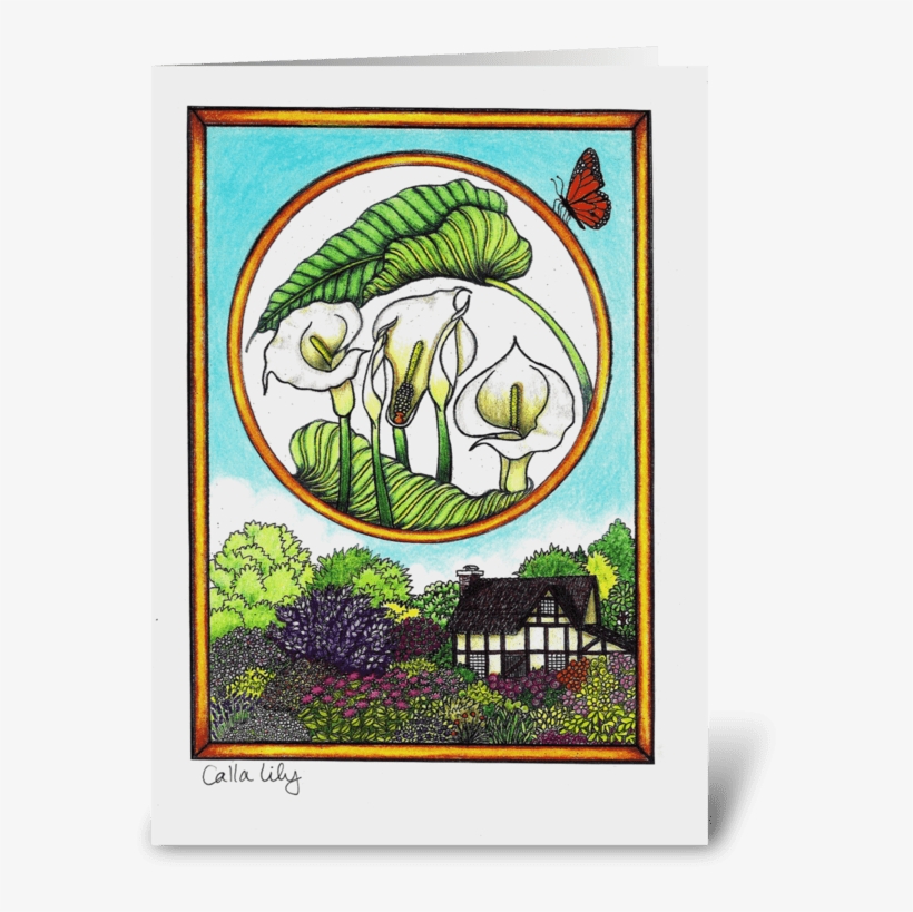 Calla Lily - Illustration, transparent png #8443427