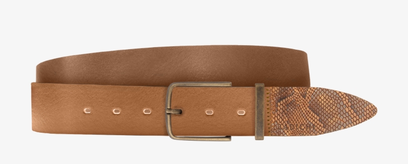 Buckle, transparent png #8443584