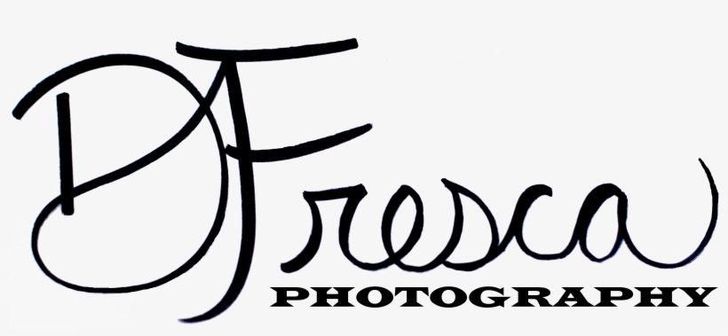 Ahi Carrier, transparent png #8443974