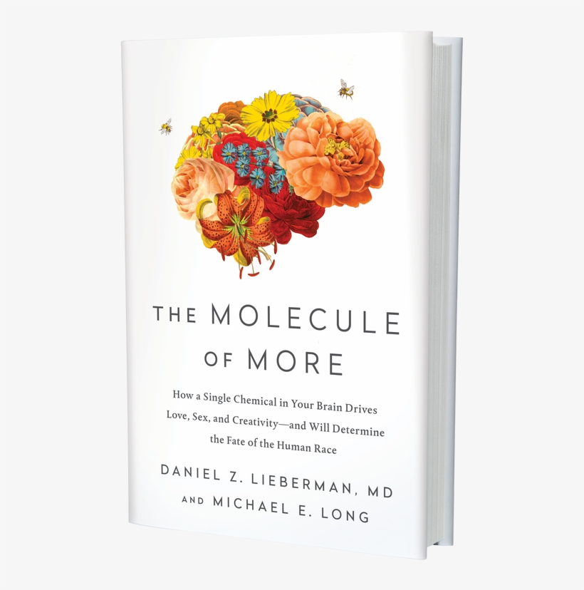 Download A Preview Of The Molecule Of More - Molecule Of More, transparent png #8444535