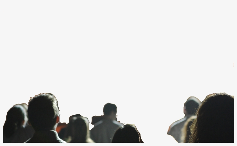 Attachment - New Year Wishes2019, transparent png #8445244