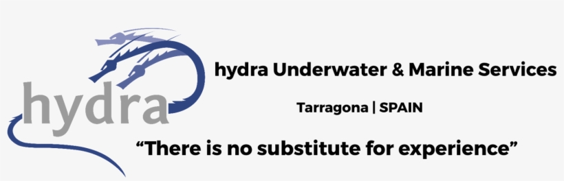 Homesceen Logo En003 - Hydra, transparent png #8447358