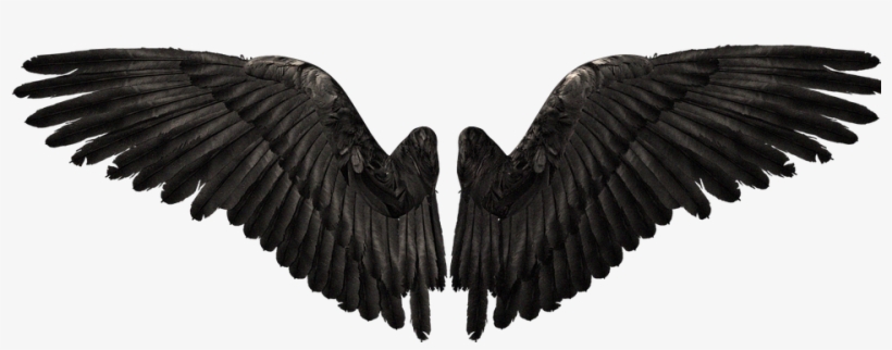Wings, Fantasy - Devil Wings Png, transparent png #8448602