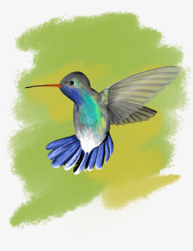 Digital Arts ©2018 By Mykola Vradnyk - Ruby-throated Hummingbird, transparent png #8448759