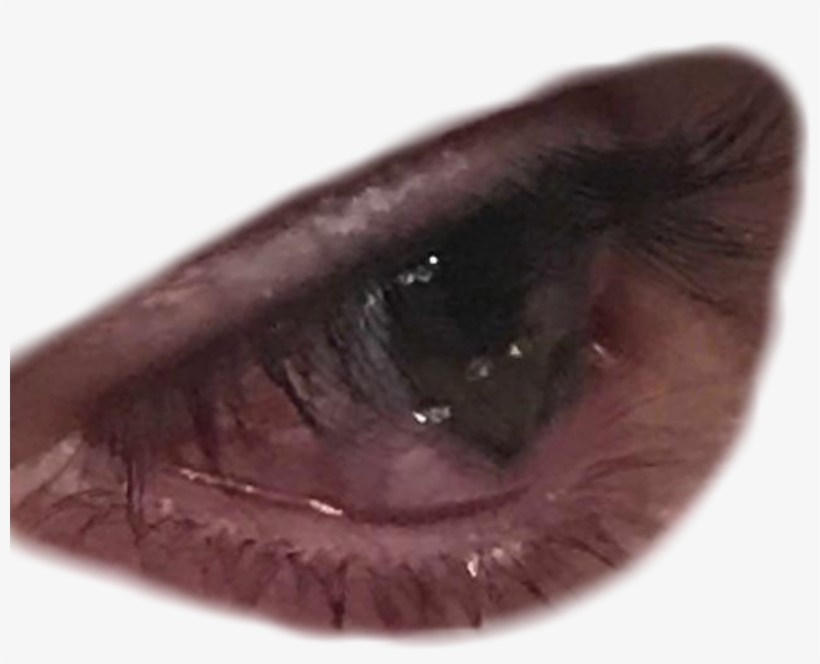 Report Abuse - Close-up, transparent png #8449639