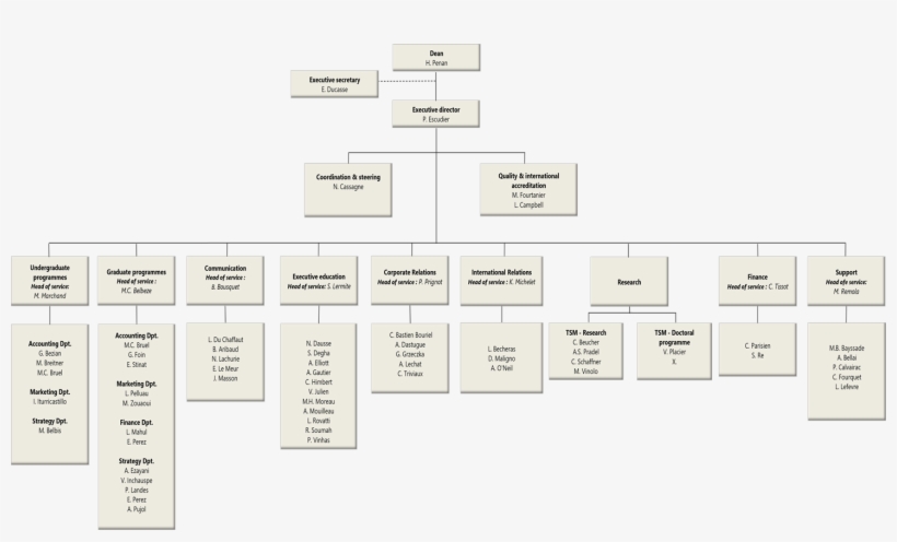Organisational-chart - Parallel, transparent png #8449883