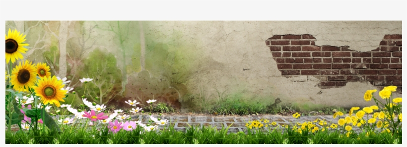 Fresh And Simple Wall Advertising Poster - Sunflower, transparent png #8450672