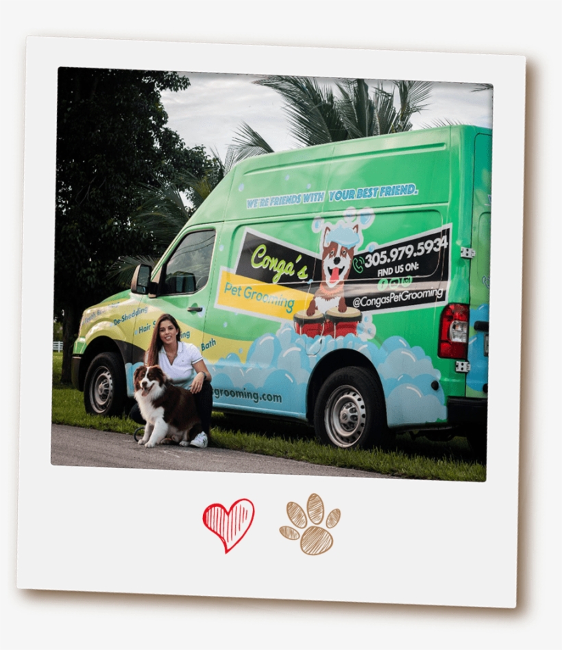 Why Conga's Mobile Pet Grooming - Banner, transparent png #8452927