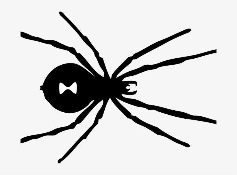 Black Spider Coloring Page Black Widow Spider Coloring - Black Widow Spider Transparent Background, transparent png #8453562