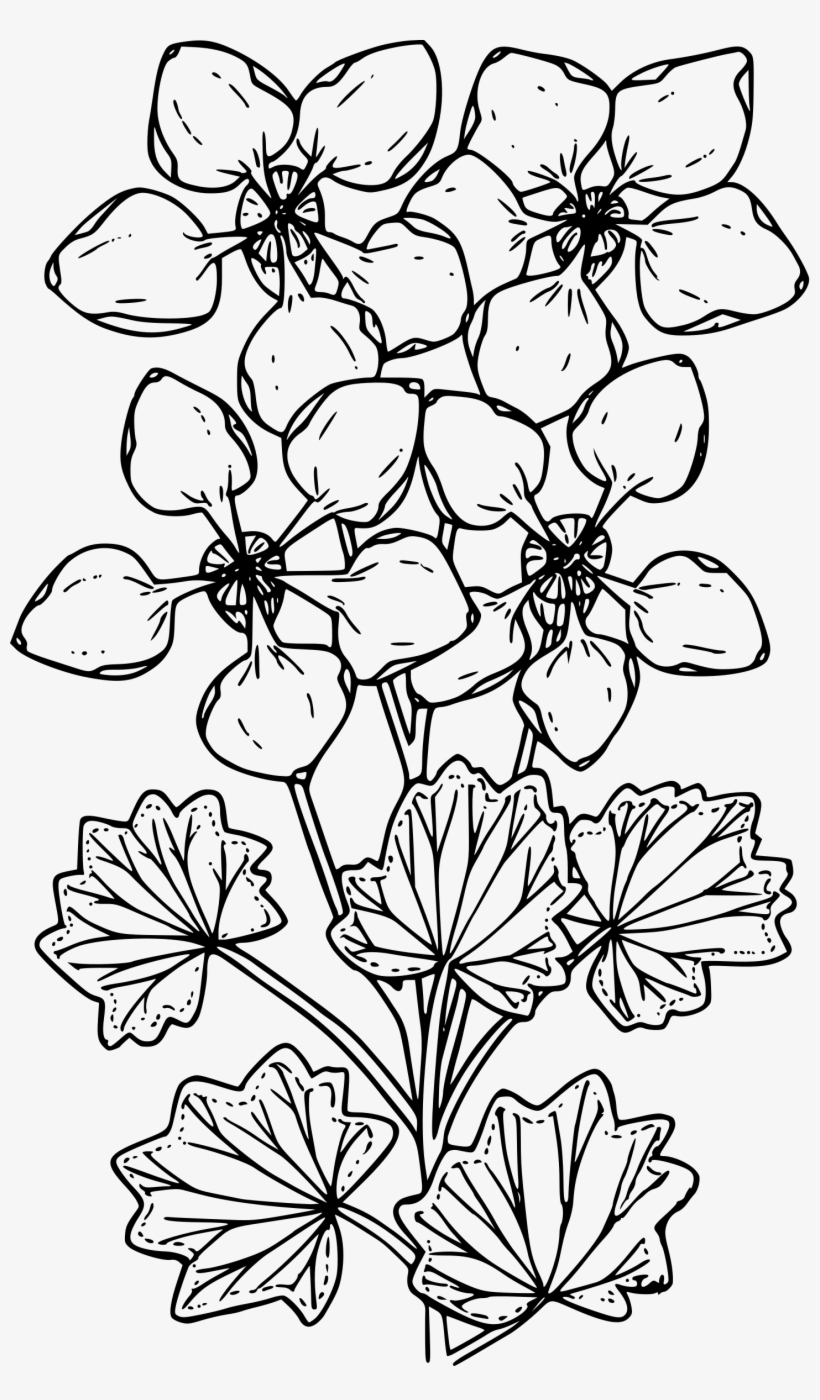 This Free Icons Png Design Of James's Saxifrage, transparent png #8454114