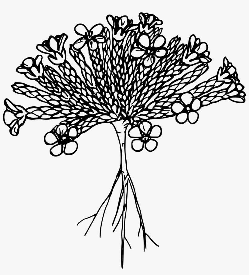 This Free Icons Png Design Of Alpine Saxifrage, transparent png #8454267