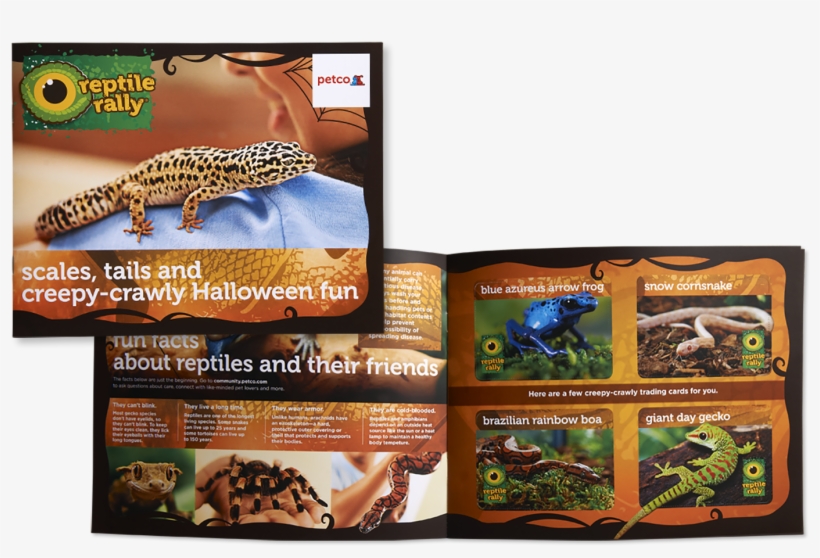 ↑back To Top - Gecko, transparent png #8454426