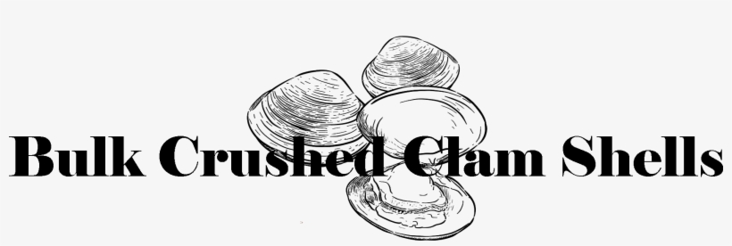 Bulk Crushed Clam Shells - Line Art, transparent png #8454456