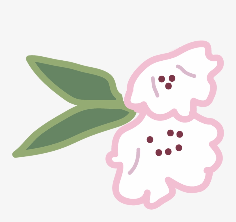 Eva Marie Lock-lorenzen Camera - Illustration, transparent png #8454673