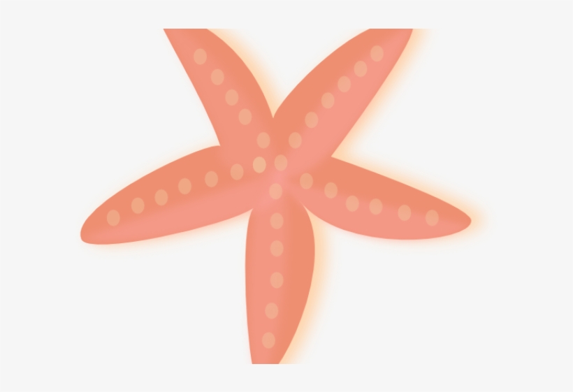 Starfish Clipart Peach - Starfish, transparent png #8455137