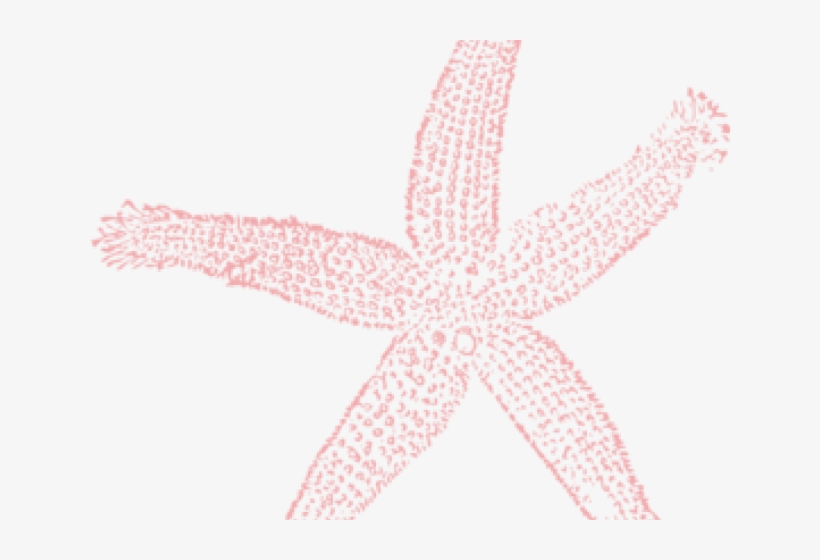 Starfish Clipart Face - Fish Clip Art, transparent png #8455683