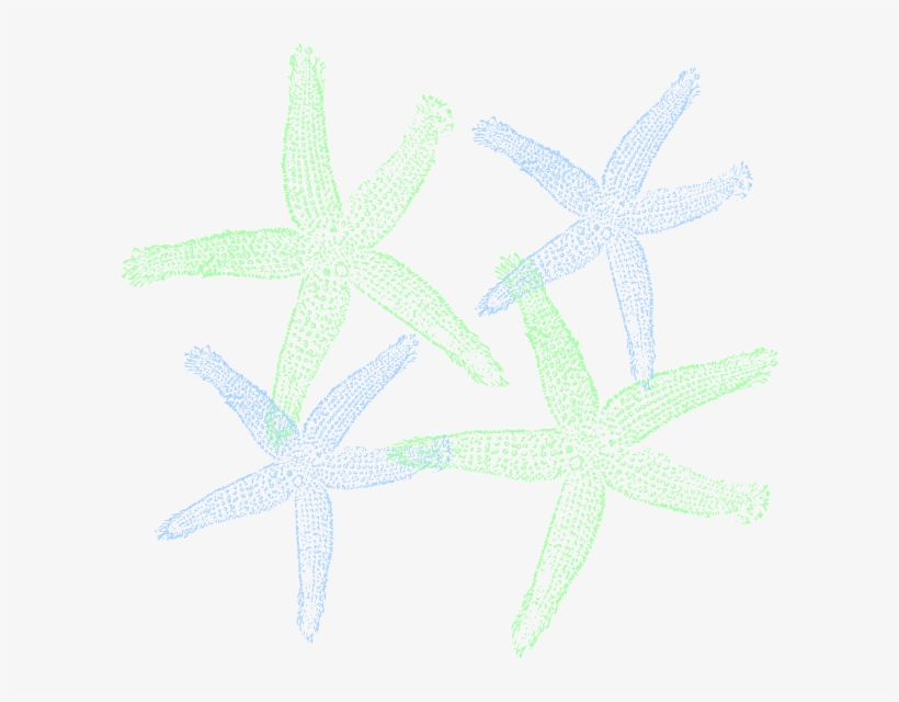 Source - - Fish Clip Art, transparent png #8455970