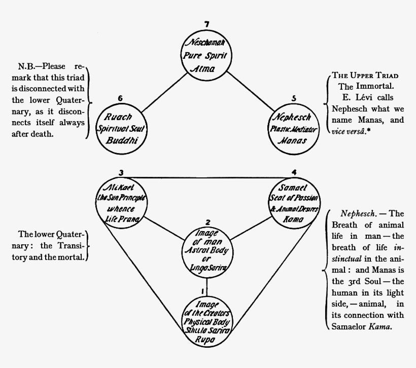 Diagram, transparent png #8456865