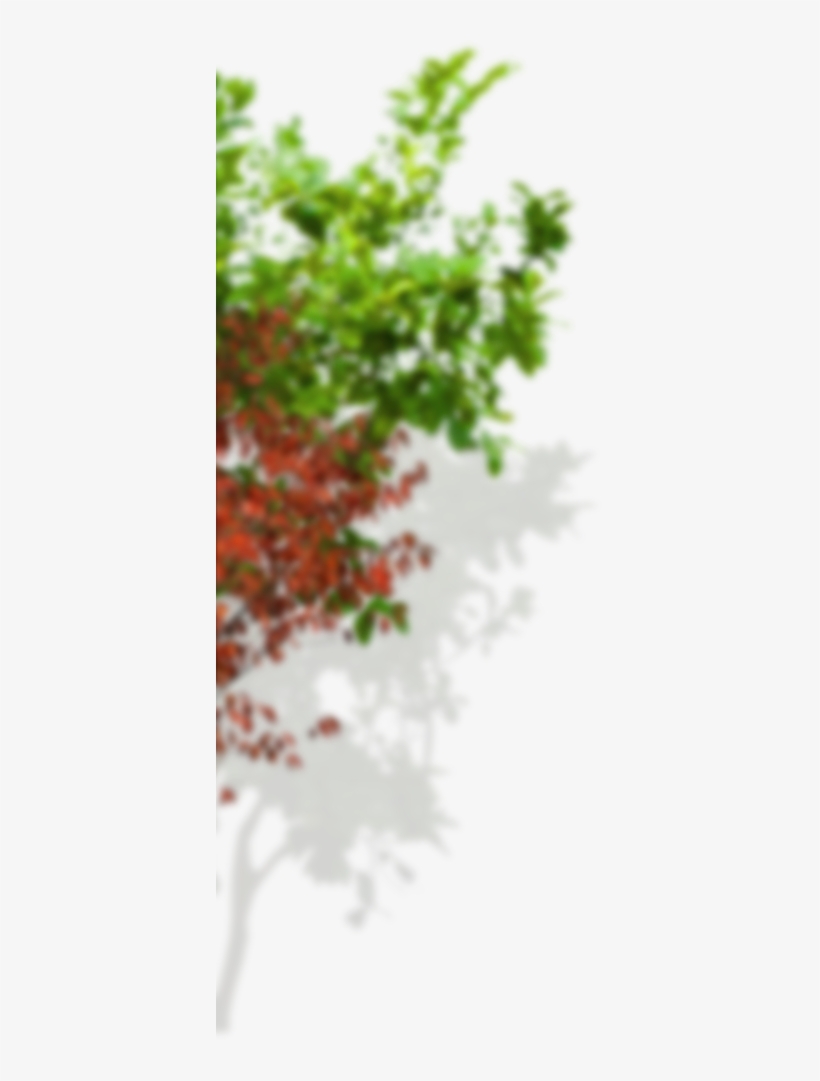 The Market - Allu Arjun Arya 2, transparent png #8457513