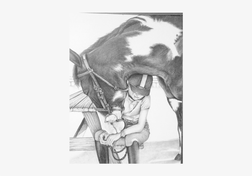 Horse - Mare, transparent png #8457977