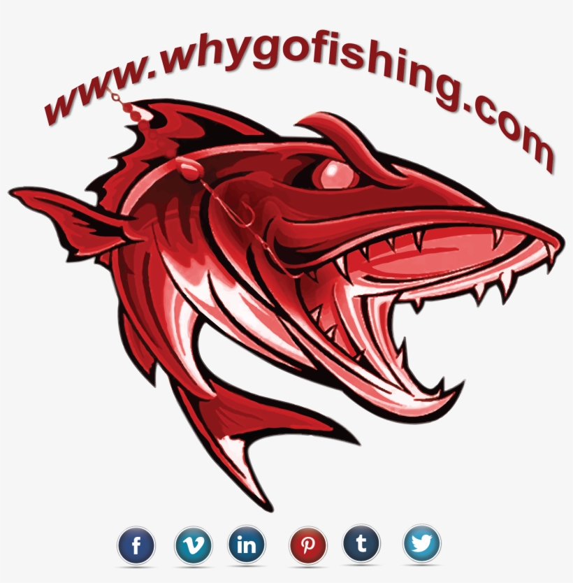 Why Go Fishing Logo - Illustration, transparent png #8458334