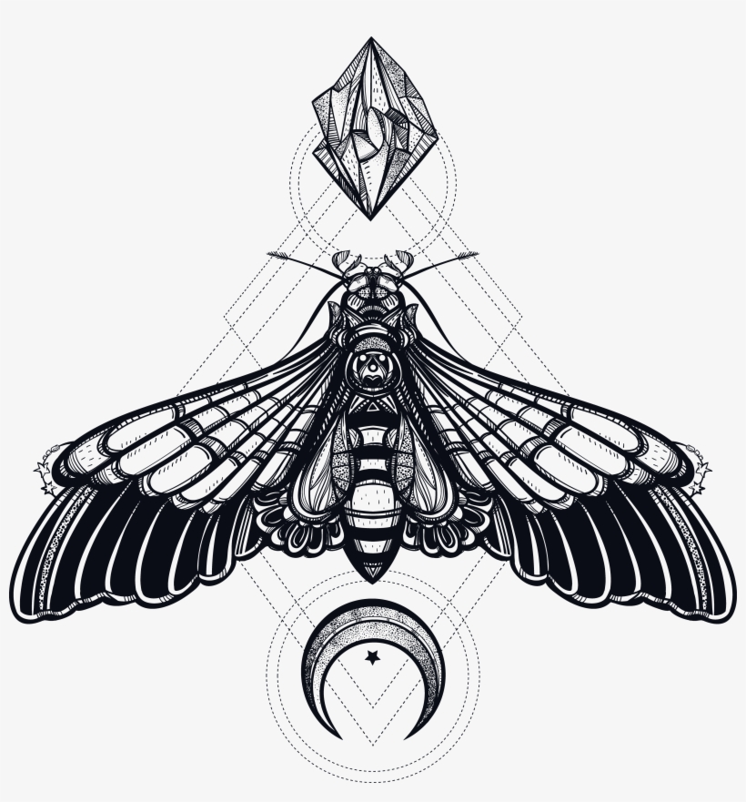 Butterfly Geometry Creative Insect Deaths Head Hawkmoth - Geometric Moth Tattoo, transparent png #8459543