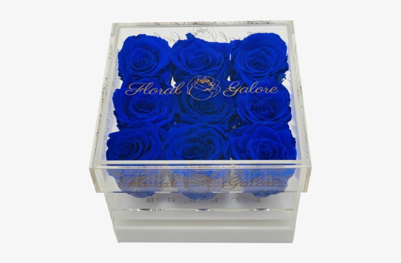 Blue Rose, transparent png #8461067