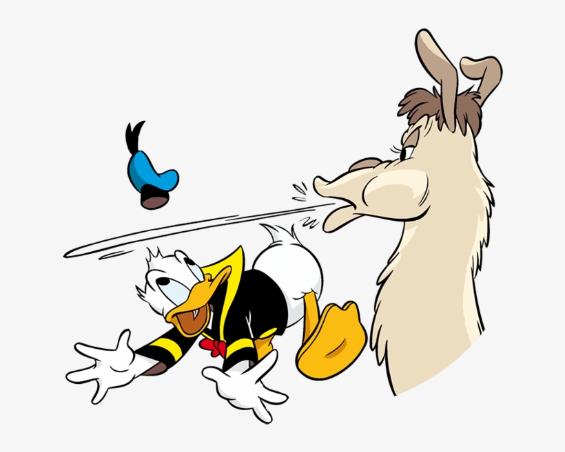 Bildergalerie Mit Infos Zu Donald Duck, Bewohner Von - Cartoon, transparent png #8461515