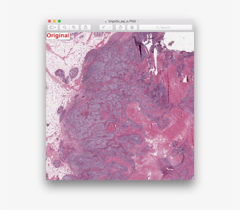 Cropped Original - Visual Arts, transparent png #8461839