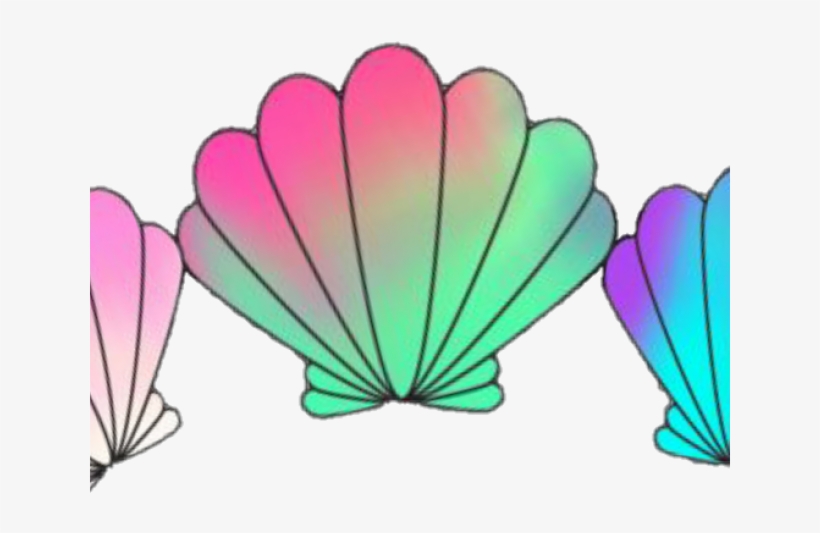 Download Mermaid Clipart Seashell Mermaid Shell Clipart Png Free Transparent Png Download Pngkey