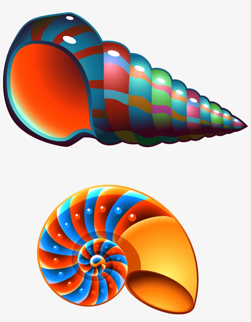 Seashell Conch Mollusc Shell Clip Art - Cute Seashell Clip Art, transparent png #8464785