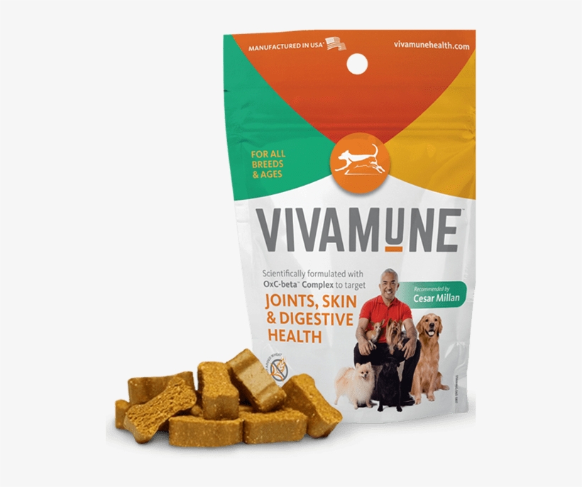 They Will Do Anything To Get A Tasty Chew - Health, transparent png #8464898