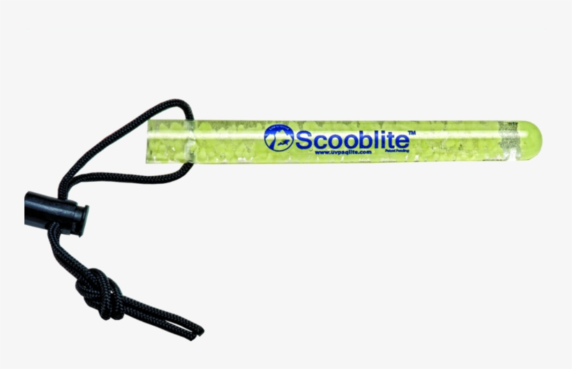 Scoob1 - Wire, transparent png #8465352