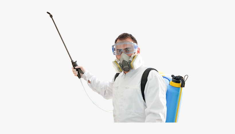 Pest Control Png Hd - Termite Control Images In Hd, transparent png #8465429