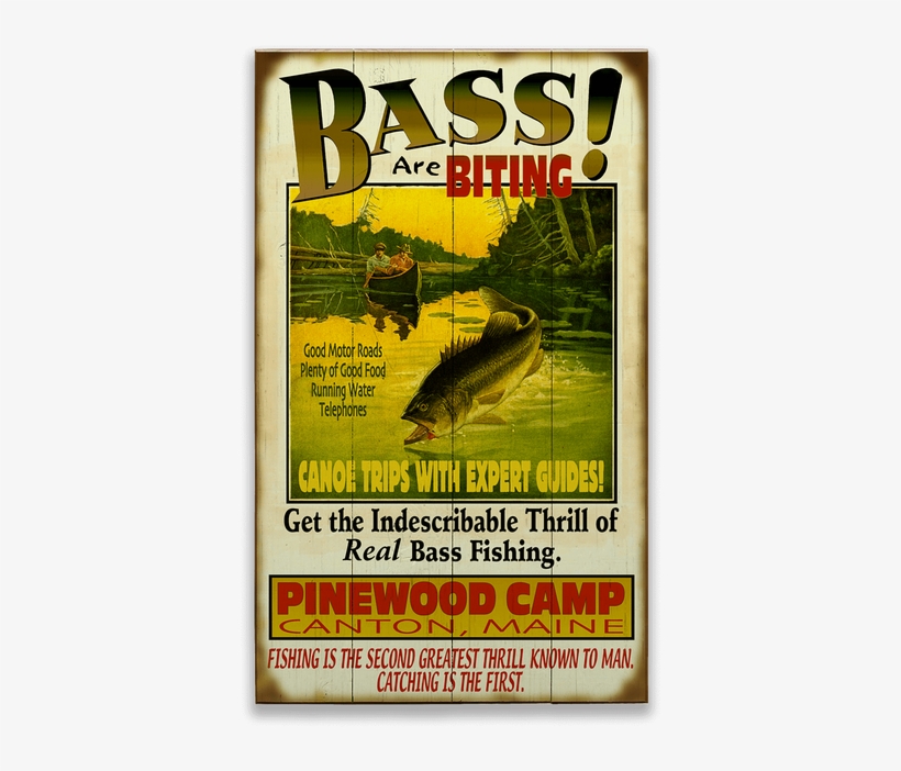 Poster, transparent png #8465469