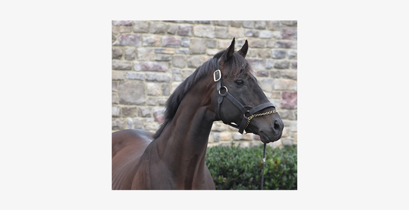 Calendar Of Events & Reminders - Girl, transparent png #8466825