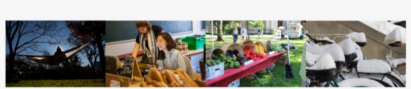 Home Page Graphic - Natural Foods, transparent png #8468629